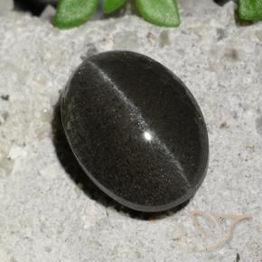 9,17 ctw natürlicher Schwarz Skapolith Katzenauge, Oval, Lichtdurchlässig