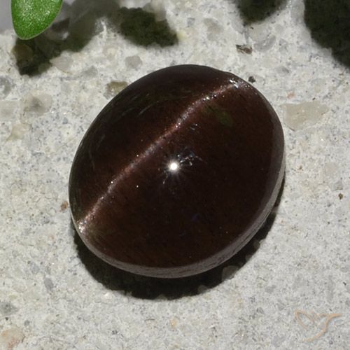 2.04ct Natürlicher dunkelbraun Skapolith Katzenauge, Oval, Lichtdurchlässig