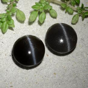 3,46 ct natürliche schwarzer Cat's Eye Scapolite-Edelsteine, Rundschliff, Lichtdurchlässig