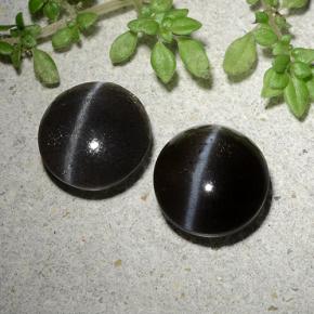 3,46 ct natürliche schwarzer Cat's Eye Scapolite-Edelsteine, Rundschliff, Lichtdurchlässig
