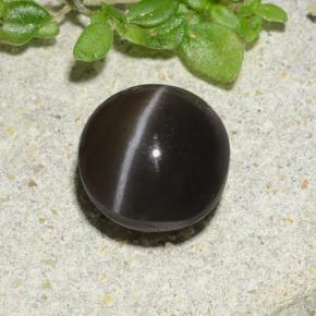 9,17 ctw natürlicher Braun Skapolith Katzenauge, Rund Schliff, Lichtdurchlässig