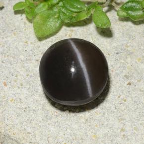 9,17 ctw natürlicher Braun Skapolith Katzenauge, Rund Schliff, Lichtdurchlässig