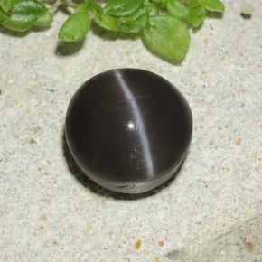 2,49 ctw natürlicher schwarzer Cat's Eye Scapolite, Rundschliff, Lichtdurchlässig
