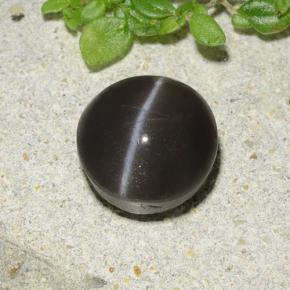 2,49 ctw natürlicher schwarzer Cat's Eye Scapolite, Rundschliff, Lichtdurchlässig