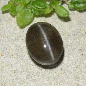 1,46 ctw natürlicher schwarzer Cat's Eye Scapolite, Oval Schliff, Lichtdurchlässig