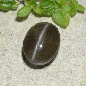 1,46 ctw natürlicher schwarzer Cat's Eye Scapolite, Oval Schliff, Lichtdurchlässig