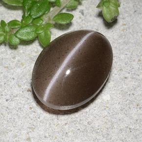 2,20 ctw natürlicher brauner Cat's Eye Scapolite, Oval Schliff, Lichtdurchlässig