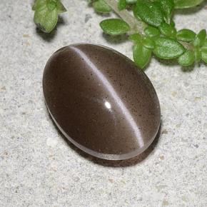 2,20 ctw natürlicher brauner Cat's Eye Scapolite, Oval Schliff, Lichtdurchlässig