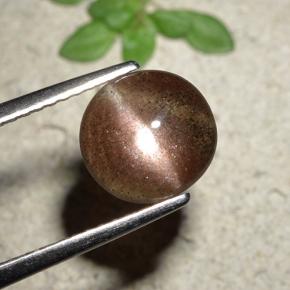 1,76 ctw natürlicher brauner Cat's Eye Scapolite, Rundschliff, Lichtdurchlässig