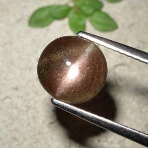 1,76 ctw natürlicher brauner Cat's Eye Scapolite, Rundschliff, Lichtdurchlässig