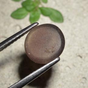 1,76 ctw natürlicher brauner Cat's Eye Scapolite, Rundschliff, Lichtdurchlässig