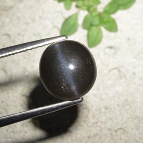 3,23 ctw natürlicher schwarzer Cat's Eye Scapolite, Rundschliff, Lichtundurchlässig