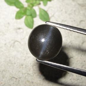 3,23 ctw natürlicher schwarzer Cat's Eye Scapolite, Rundschliff, Lichtundurchlässig