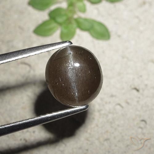 2.56ct Natürlicher Mittel braun Skapolith Katzenauge, Runden, Lichtdurchlässig