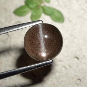 1,80 ctw natürlicher brauner Cat's Eye Scapolite, Rundschliff, Lichtdurchlässig