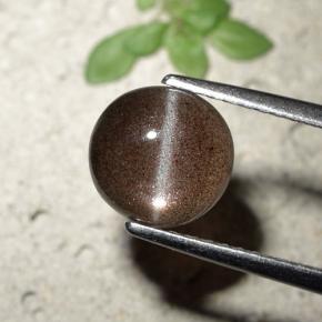 1,80 ctw natürlicher brauner Cat's Eye Scapolite, Rundschliff, Lichtdurchlässig