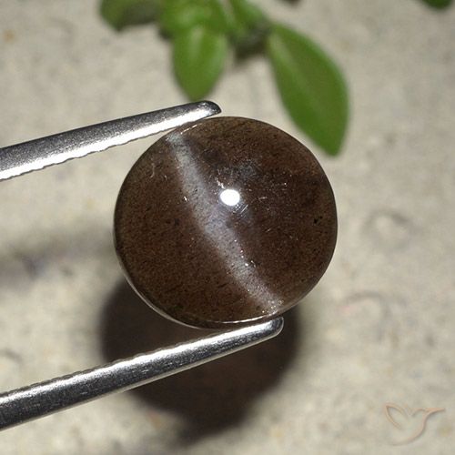 9,17 ctw natürlicher Schokoladenbraun Skapolith Katzenauge, Rund Schliff, Lichtdurchlässig