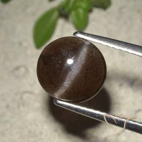 9,17 ctw natürlicher Schokoladenbraun Skapolith Katzenauge, Rund Schliff, Lichtdurchlässig