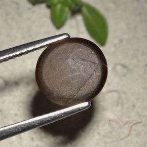 9,17 ctw natürlicher Schokoladenbraun Skapolith Katzenauge, Rund Schliff, Lichtdurchlässig