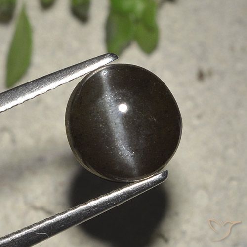 2,72 ctw natürlicher schwarzer Cat's Eye Scapolite, Rundschliff, Lichtdurchlässig