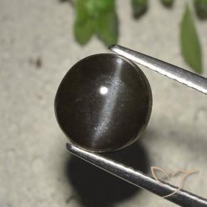 2,72 ctw natürlicher schwarzer Cat's Eye Scapolite, Rundschliff, Lichtdurchlässig