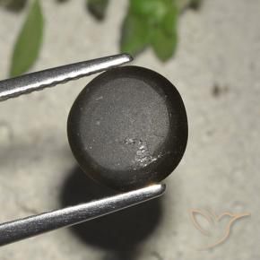 2,72 ctw natürlicher schwarzer Cat's Eye Scapolite, Rundschliff, Lichtdurchlässig