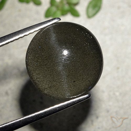 6.50ct Natürlicher Schwarz Skapolith Katzenauge, Runden, Lichtdurchlässig