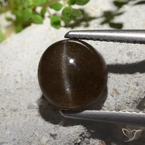 3.08ct Natürlicher Mittel braun Skapolith Katzenauge, Runden, Lichtdurchlässig