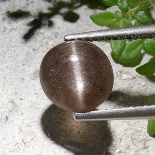 2.76ct Natürlicher Braun Skapolith Katzenauge, Runden, Lichtdurchlässig