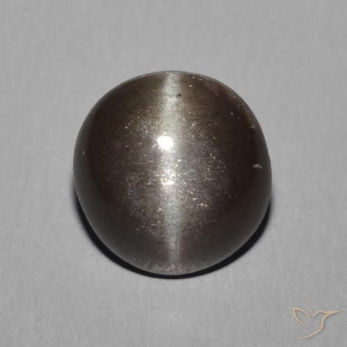 2.28ct Natürlicher Warmes Schwarz Skapolith Katzenauge, Runden, Lichtdurchlässig