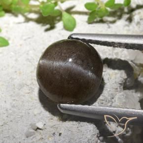 9,17 ctw natürlicher Mittel-Hellbraun Skapolith Katzenauge, Runden, Lichtdurchlässig