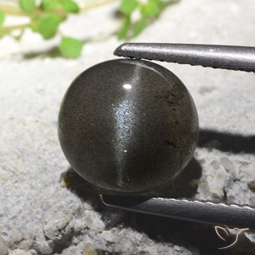 2.71ct Natürlicher Schwarz Skapolith Katzenauge, Runden, Lichtdurchlässig