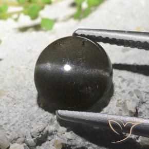 9,17 ctw natürlicher Schwarz Skapolith Katzenauge, Runden, Lichtdurchlässig