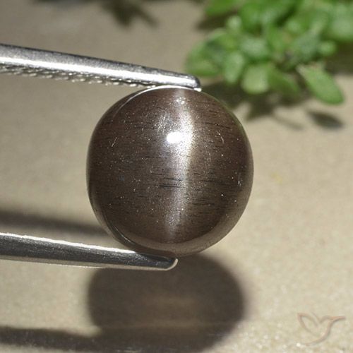 3.07ct Natürlicher Umbrabraun Skapolith Katzenauge, Runden, Lichtdurchlässig