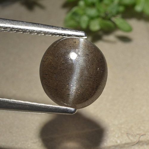 2.54ct Natürlicher Umbrabraun Skapolith Katzenauge, Oval, Lichtdurchlässig