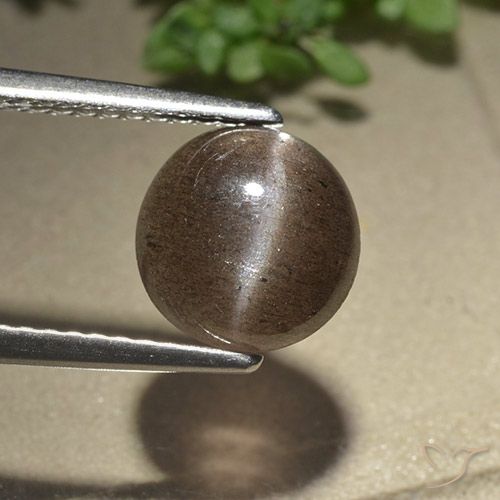 2.28ct Natürlicher Mittel braun Skapolith Katzenauge, Runden, Lichtdurchlässig
