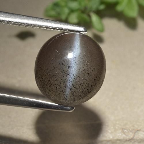 3.06ct Natürlicher Espresso Braun Skapolith Katzenauge, Runden, Lichtdurchlässig