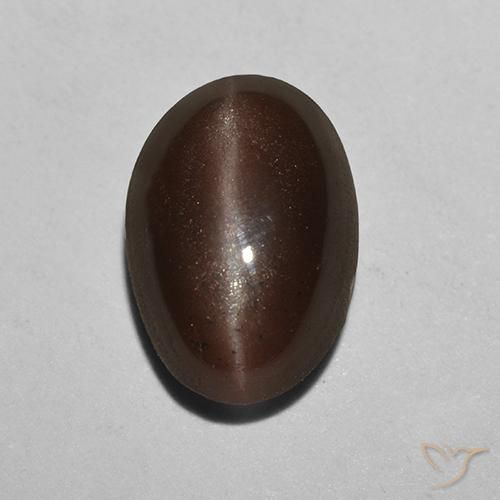 2.12ct Natürlicher Umbrabraun Skapolith Katzenauge, Oval, Lichtdurchlässig