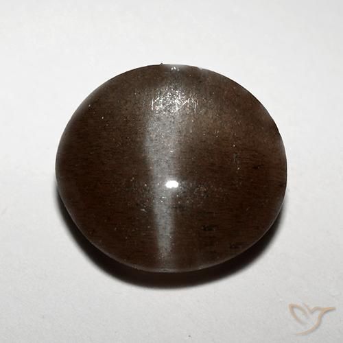3.10ct Natürlicher Schokoladenbraun Skapolith Katzenauge, Runden, Lichtdurchlässig