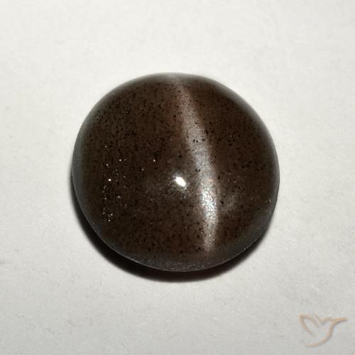 1,50 ctw natürlicher brauner Cat's Eye Scapolite, Rundschliff, Lichtdurchlässig