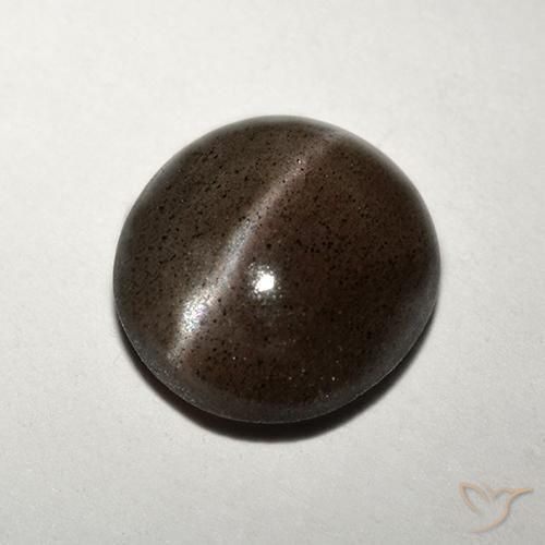 1,50 ctw natürlicher brauner Cat's Eye Scapolite, Rundschliff, Lichtdurchlässig
