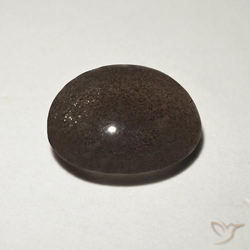 1,50 ctw natürlicher brauner Cat's Eye Scapolite, Rundschliff, Lichtdurchlässig