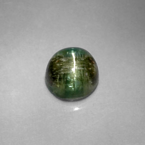 1,20 ctw natürlicher grüner Cat's Eye Tourmaline, Rundschliff, Lichtundurchlässig