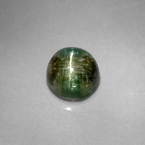 1,20 ctw natürlicher grüner Cat's Eye Tourmaline, Rundschliff, Lichtundurchlässig