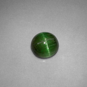 0,85 ctw natürlicher grüner Cat's Eye Tourmaline, Rundschliff, Lichtundurchlässig