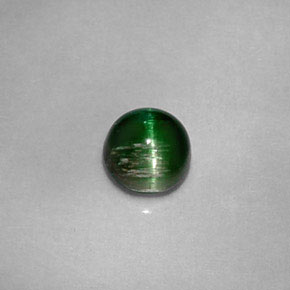 0,67 ctw natürlicher grüner Cat's Eye Tourmaline, Rundschliff, Lichtundurchlässig