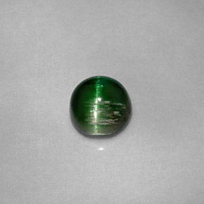 0,67 ctw natürlicher grüner Cat's Eye Tourmaline, Rundschliff, Lichtundurchlässig