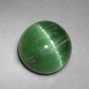 2,47 ctw natürlicher grüner Cat's Eye Tourmaline, Rundschliff, Lichtdurchlässig