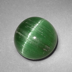 2,47 ctw natürlicher grüner Cat's Eye Tourmaline, Rundschliff, Lichtdurchlässig