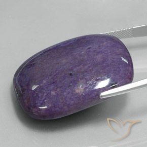 9,17 ctw natürlicher tiefviolett Charoit, Kissen, Lichtundurchlässig